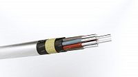Кабель АКПВБГ 10х6